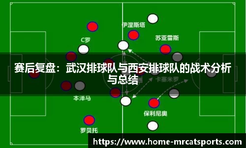 猫先生体育平台