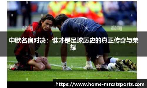 猫先生体育平台